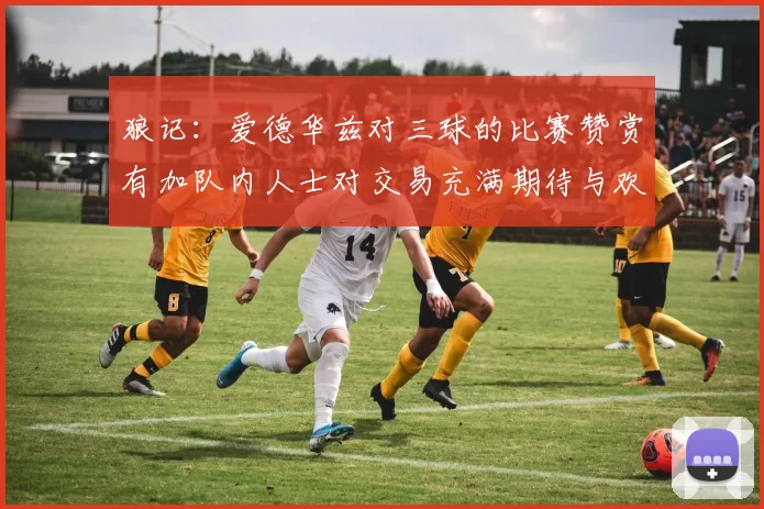狼记：爱德华兹对三球的比赛赞赏有加队内人士对交易充满期待与欢欣