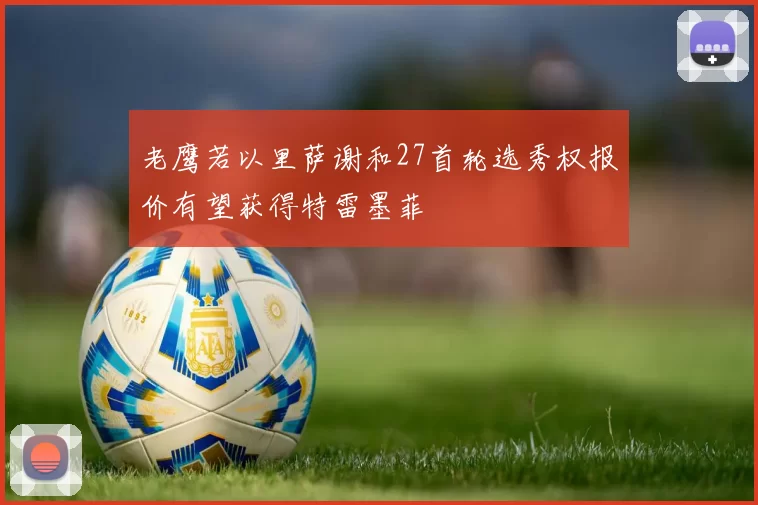 老鹰若以里萨谢和27首轮选秀权报价有望获得特雷墨菲
